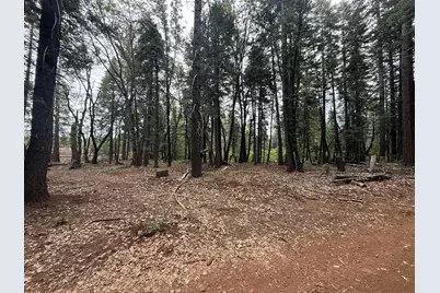11955 Chalk Bluff Road, Nevada City, CA 95959 - Photo 29