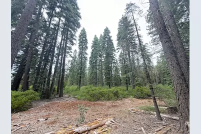11955 Chalk Bluff Road, Nevada City, CA 95959 - Photo 23