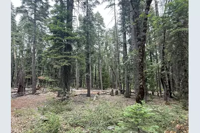 11955 Chalk Bluff Road, Nevada City, CA 95959 - Photo 19