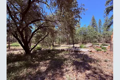 10 Big Oak Court, Placerville, CA 95667 - Photo 21