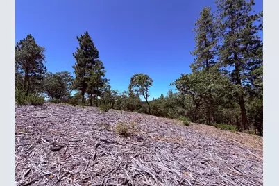10 Big Oak Court, Placerville, CA 95667 - Photo 9