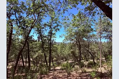 10 Big Oak Court, Placerville, CA 95667 - Photo 11