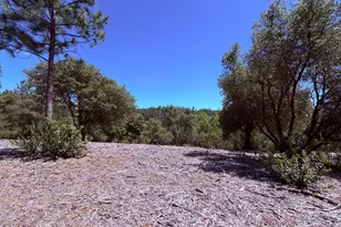 10 Big Oak Ct, Placerville, CA 95667 - Photo 1