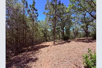 10 Big Oak Court, Placerville, CA 95667 - Photo 13