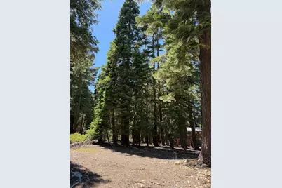 0 9th Avenue, Tahoma, CA 96142 - Photo 11