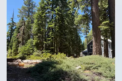 0 9th Avenue, Tahoma, CA 96142 - Photo 5