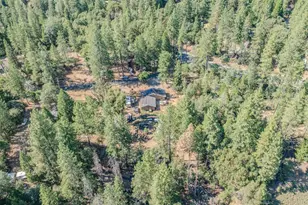 23190 Alaire Ln, Pioneer, CA 95666 - Photo 43