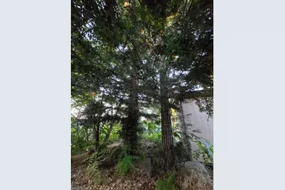 13460 Lancaster Road, Oakdale, CA 95361 - Photo 65