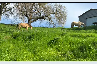 13460 Lancaster Road, Oakdale, CA 95361 - Photo 75
