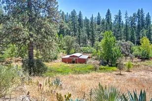 828 W Weimar Cross Rd, Colfax, CA 95713 - Photo 3