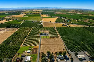 16464 Fox Rd, Lodi, CA 95240 - Photo 11