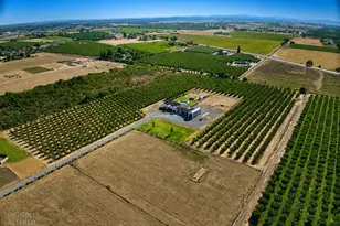 16464 Fox Rd, Lodi, CA 95240 - Photo 9