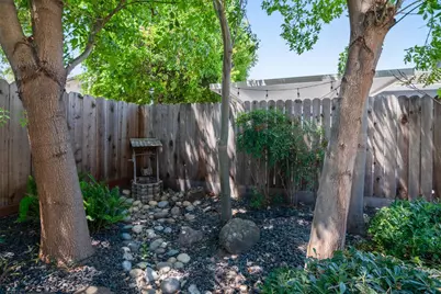 462 Chablis Way, Manteca, CA 95337 - Photo 33