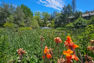 13017 Lincoln Way, Auburn, CA 95603 - Photo 37