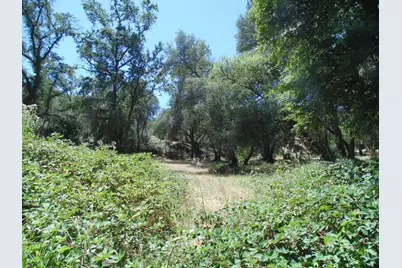 1148 Lotus Road, Lotus, CA 95651 - Photo 11