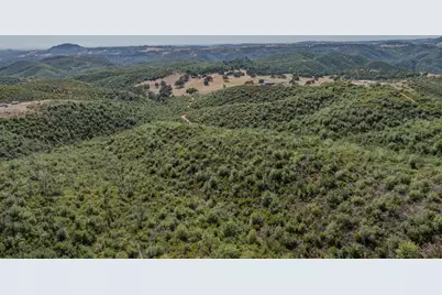 8519 Maranatha Lane, Mountain Ranch, CA 95246 - Photo 15