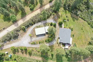14541 Fricot City Rd, Sheep Ranch, CA 95246 - Photo 49