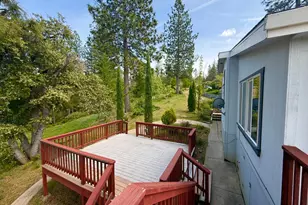 14541 Fricot City Rd, Sheep Ranch, CA 95246 - Photo 53