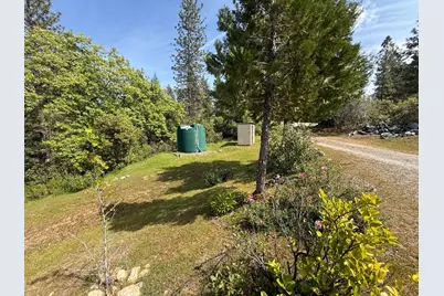 14541 Fricot City Road, Sheep Ranch, CA 95246 - Photo 57