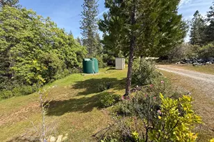14541 Fricot City Rd, Sheep Ranch, CA 95246 - Photo 57