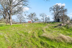 8251 Buffalo Ridge Rd, Ione, CA 95640 - Photo 63