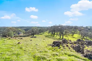 8251 Buffalo Ridge Rd, Ione, CA 95640 - Photo 67