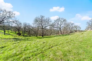 8251 Buffalo Ridge Rd, Ione, CA 95640 - Photo 65