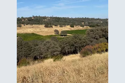 3404 Safari Trail, Pilot Hill, CA 95664 - Photo 13