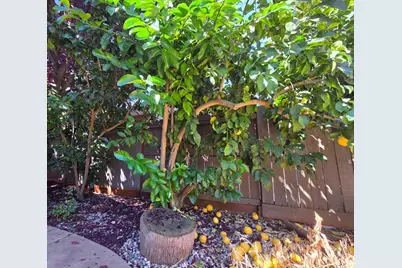 11859 Appolon Drive, Rancho Cordova, CA 95742 - Photo 21