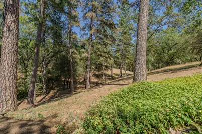 Pleasant  Valley Road #28, Diamond Springs, CA 95619 - Photo 31