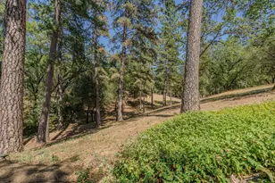 Pleasant Valley Rd, Diamond Springs, CA 95619 - Photo 31