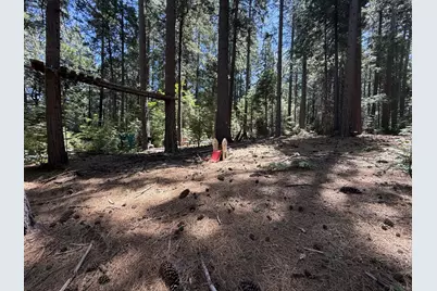 11250 Washington Road, Nevada City, CA 95959 - Photo 5
