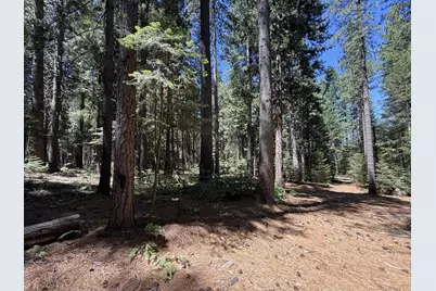 11250 Washington Road, Nevada City, CA 95959 - Photo 7