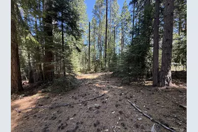 11250 Washington Road, Nevada City, CA 95959 - Photo 3