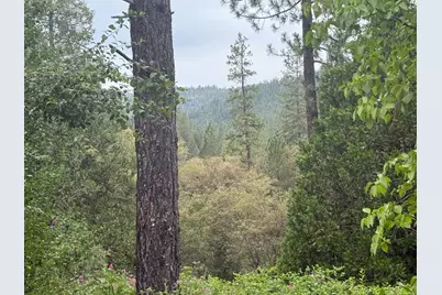 16530 Maybert Road, Nevada City, CA 95959 - Photo 3
