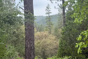 16530 Maybert Rd, Nevada City, CA 95959 - Photo 3