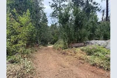 16530 Maybert Road, Nevada City, CA 95959 - Photo 5