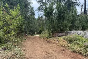 16530 Maybert Rd, Nevada City, CA 95959 - Photo 5
