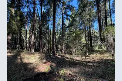 0 Blue Canyon Road, Emigrant Gap, CA 95715 - Photo 3