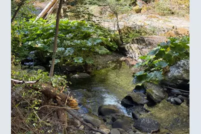 0 Blue Canyon Road, Emigrant Gap, CA 95715 - Photo 5