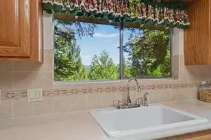 16502 Meadow Vista Dr, Pioneer, CA 95666 - Photo 15