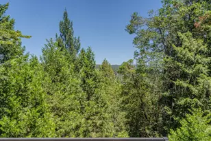 16502 Meadow Vista Dr, Pioneer, CA 95666 - Photo 53