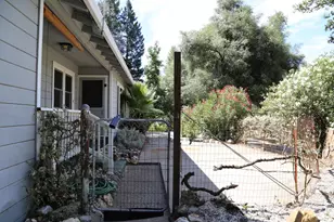3405 Big Cut Rd, Placerville, CA 95667 - Photo 3