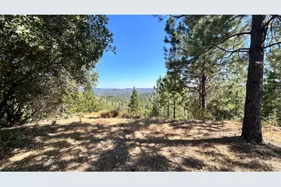 773 Red Fox Road, Mountain Ranch, CA 95246 - Photo 5