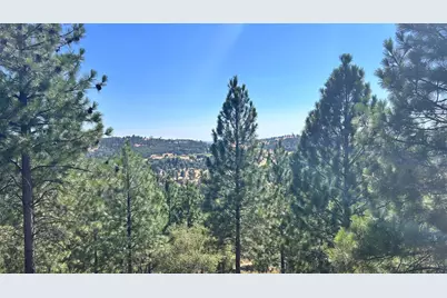 773 Red Fox Road, Mountain Ranch, CA 95246 - Photo 3