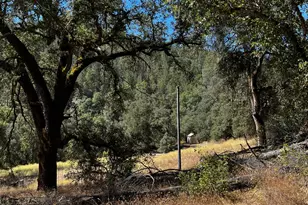 5569 CA-49, Cool, CA 95614 - Photo 13