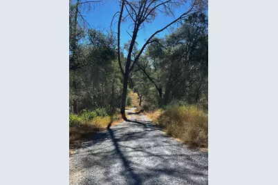5569 Ca-49, Cool, CA 95614 - Photo 15