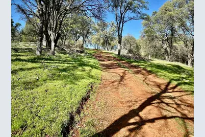790 Los Verjeles Road, Bangor, CA 95901 - Photo 75