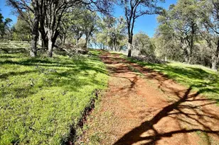 790 Los Verjeles Rd, Bangor, CA 95901 - Photo 75