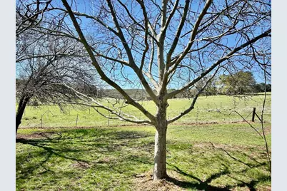 790 Los Verjeles Road, Bangor, CA 95901 - Photo 83